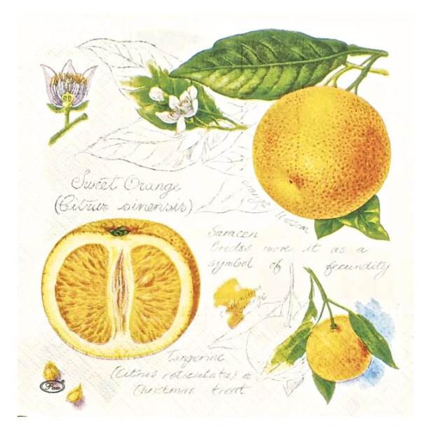 Serwetka - pomarańczki