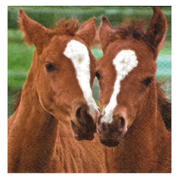 Serwetka - dwa konie