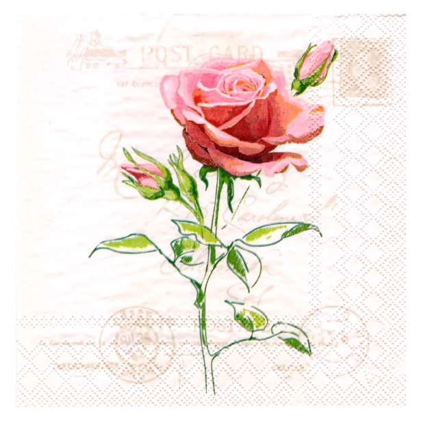 Serwetka - Róża, napisy