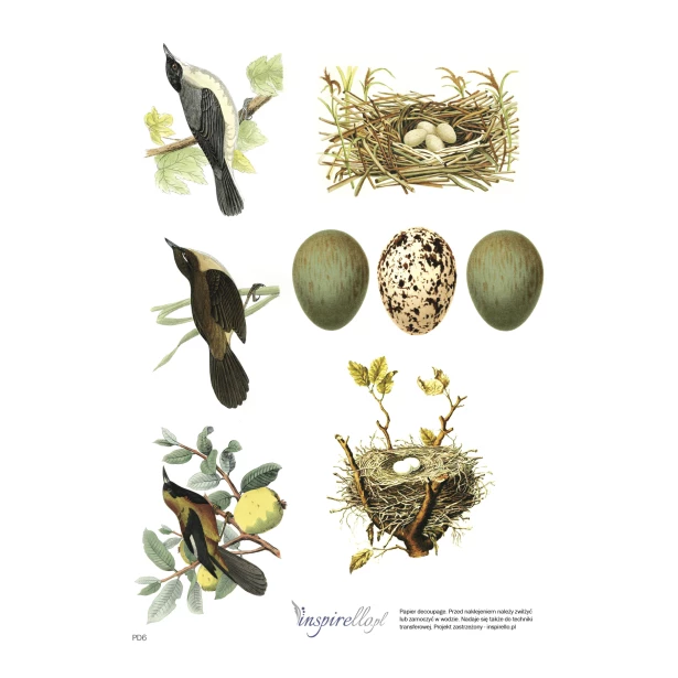 Papier decoupage: jajka, ptaki, wielkanoc