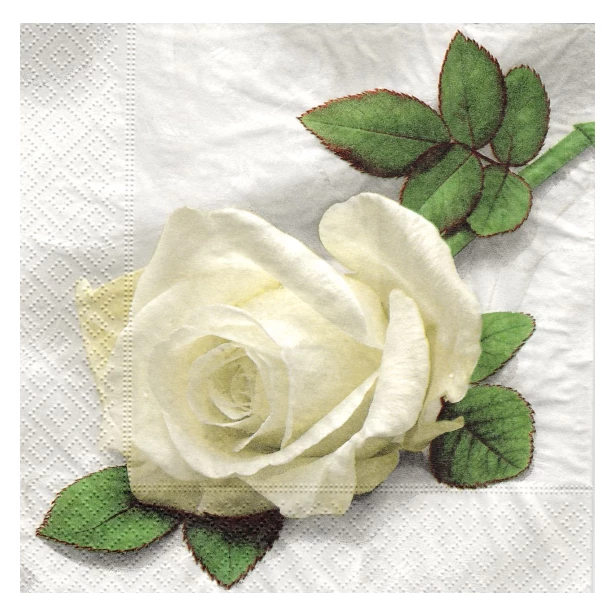 Serwetka - biała róża