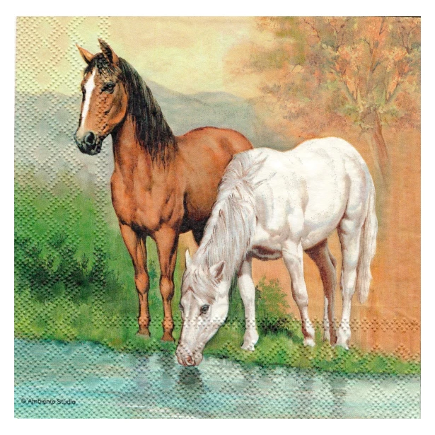 Serwetka - konie