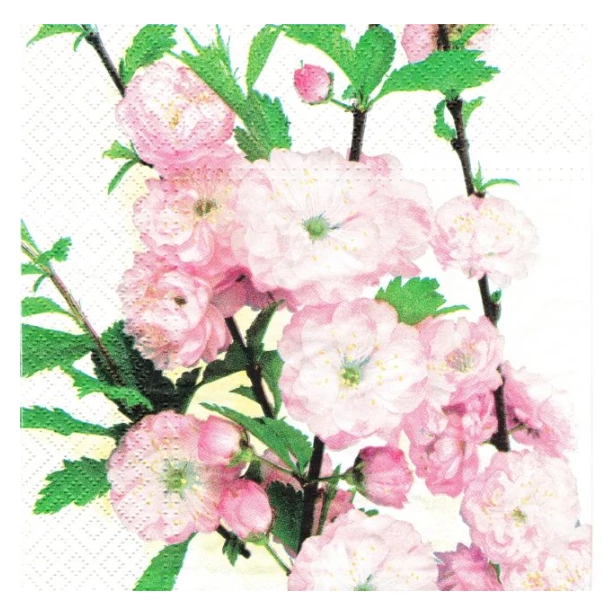 Serwetka -  kwiaty wiśni
