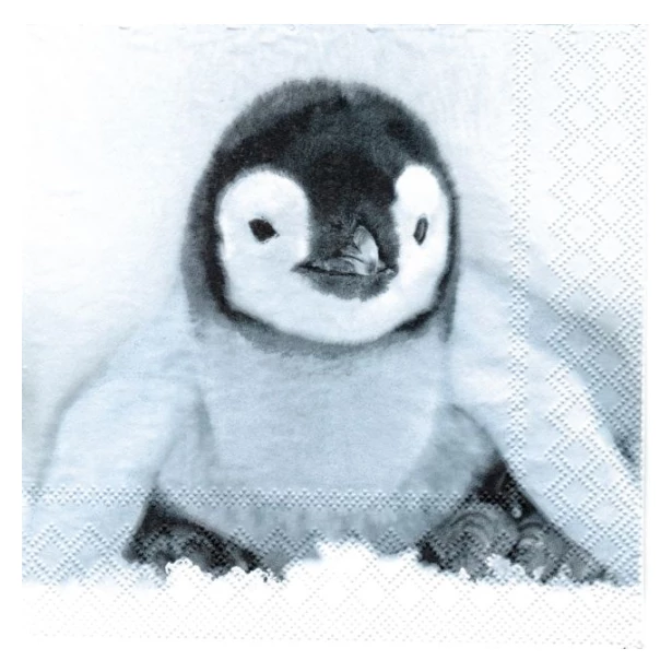 Serwetka - pingwin