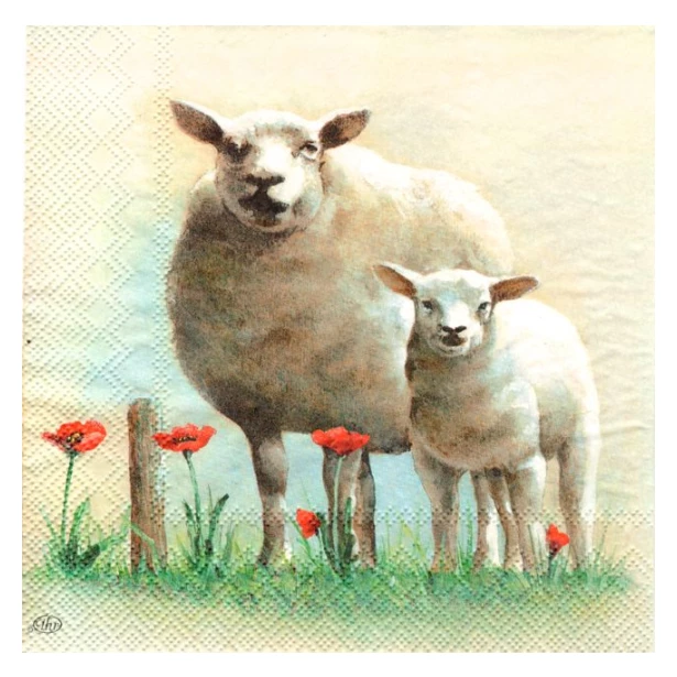 Serwetka - owce