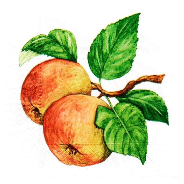 Serwetka - jabłka