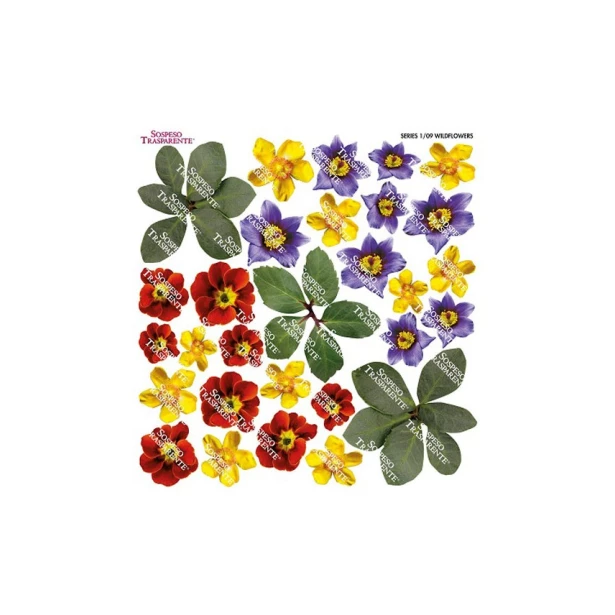Sospeso - folia z nadrukiem - kwiaty