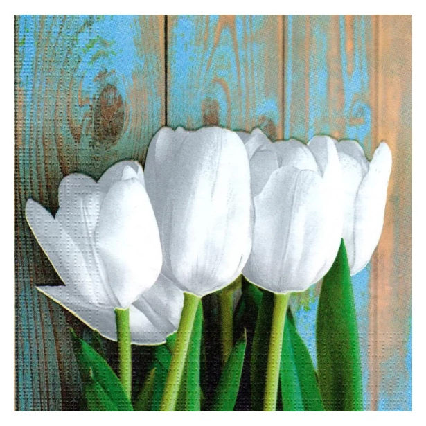 Serwetka - białe tulipany NIE ZAMAWIAĆ