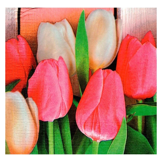 Serwetka - tulipan