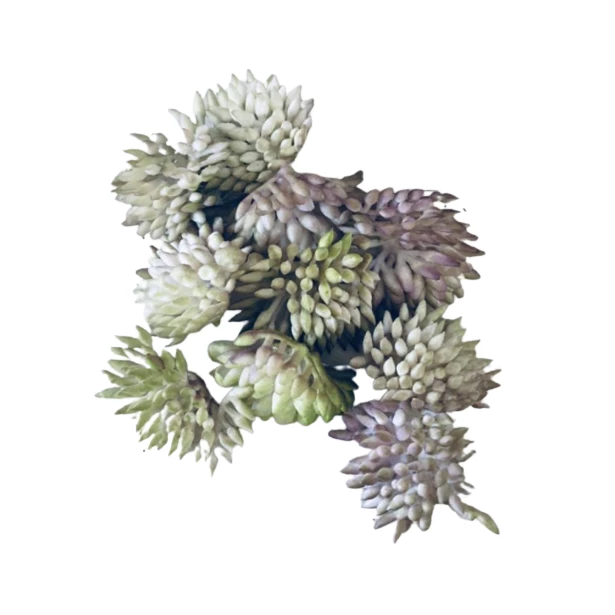 Środki do kwiatów cieniowany fiolet - 9 koszyczków