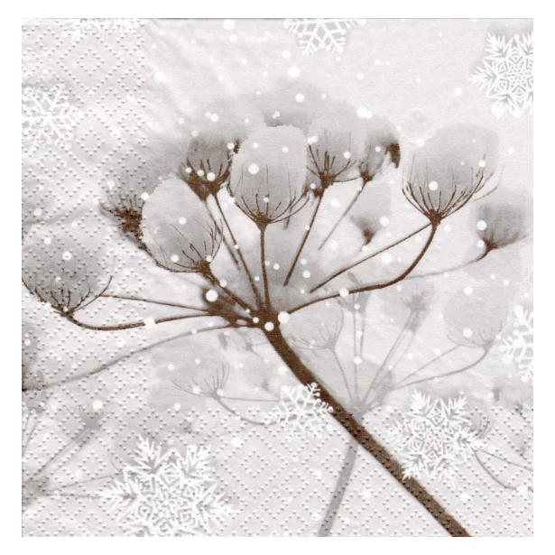 Serwetka - kwiat bawełny