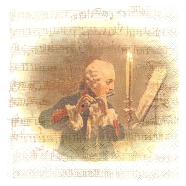 Serwetka - koncert fletowy, muzyk