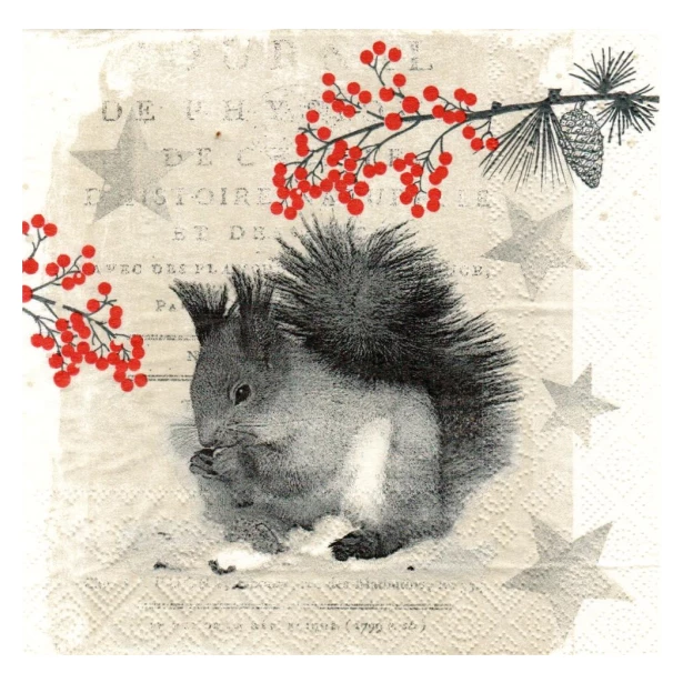 Serwetka - świąteczna wiewiórka