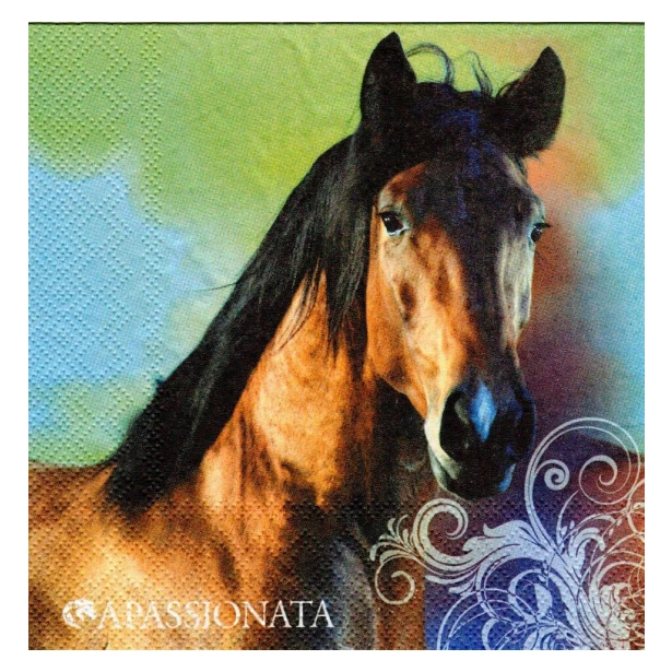 Serwetka - koń