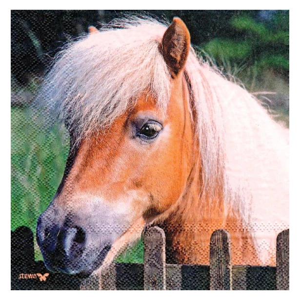 Serwetka - Koń