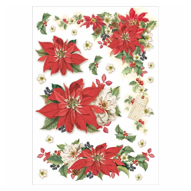 Papier ryżowy A4 - Świąteczne kwiaty  - gwiazda betlejemska