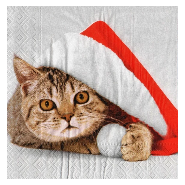 Serwetka - Świąteczny kotek