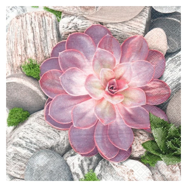 Serwetka - kwiaty kaktusy