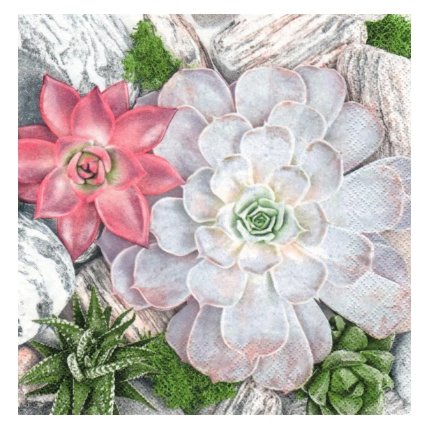 Serwetka - kwiaty kaktusy