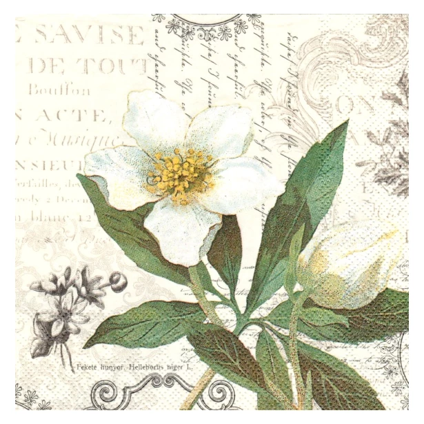 Serwetka - białe kwiaty vintage - dwa obrazki
