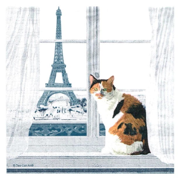 Serwetka - Kot, Paryż