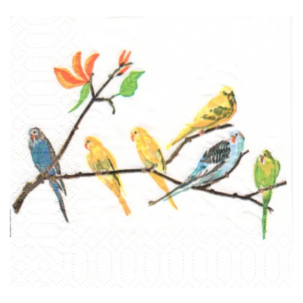 Serwetka mała - Kolorowe ptaszki na gałązce