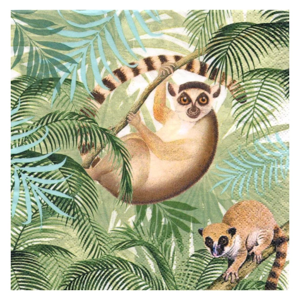 Serwetka - Lemur