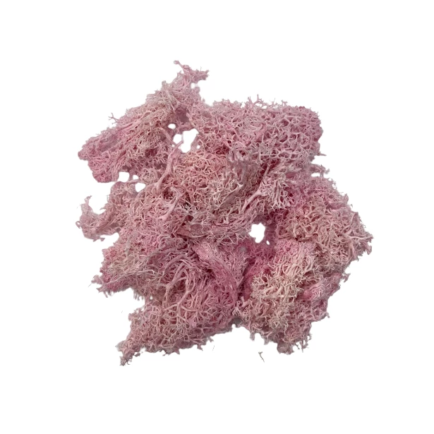 Mech Reniferowy glicerynowany Różowy - 30g
