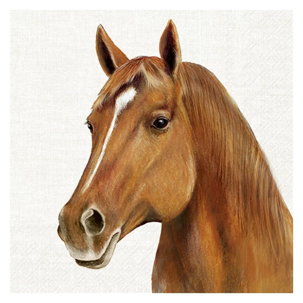 Serwetka - Koń, konik