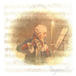 Serwetka - koncert fletowy, muzyk