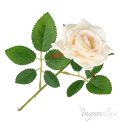 Róża Ecru na łodydze z liśćmi 50cm - 1 sztuka