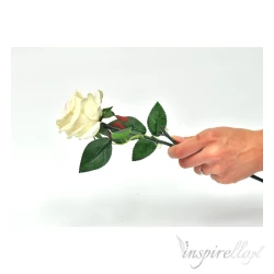 Róża Ecru na łodydze z liśćmi 50cm - 1 sztuka